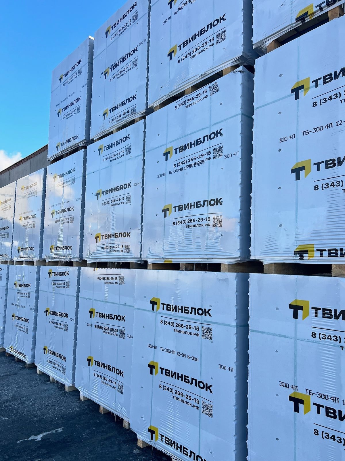 Газобетон ТВИНБЛОК D300 В2.0 625х300х250