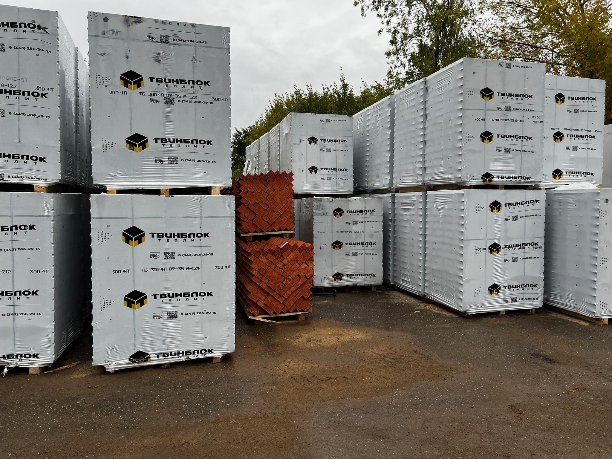 Газобетон ТВИНБЛОК D300 В2.0 625х300х250